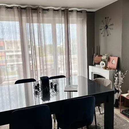 Climatise 3 Etoiles T3 Chic A Avec Billard Et Terrasse * Страсбург